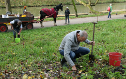 Burgerparticipatie