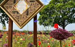 Maak kennis met ons nieuwe concept: Natuurlijk bloeiende berm